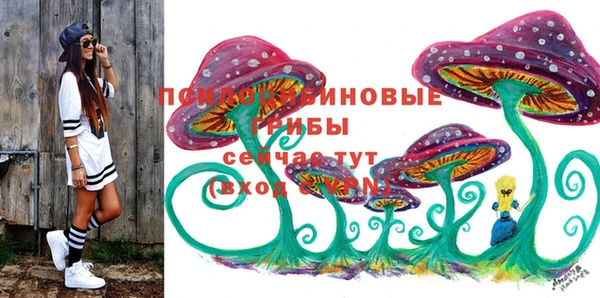 метадон Богданович
